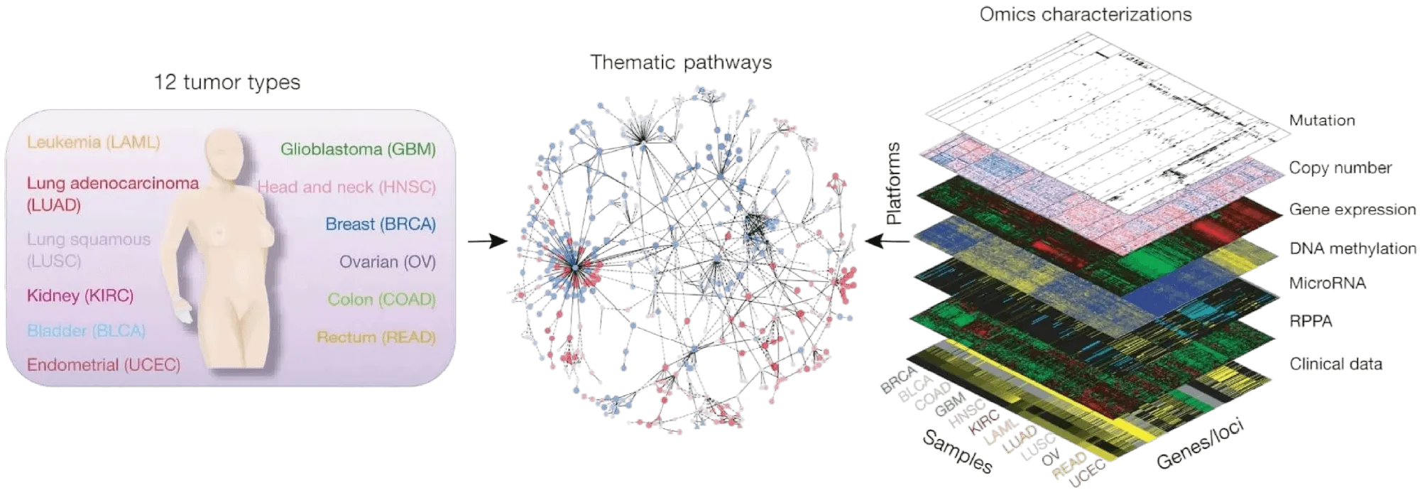 Grid of TCGA tumour types compared across molecular platforms.