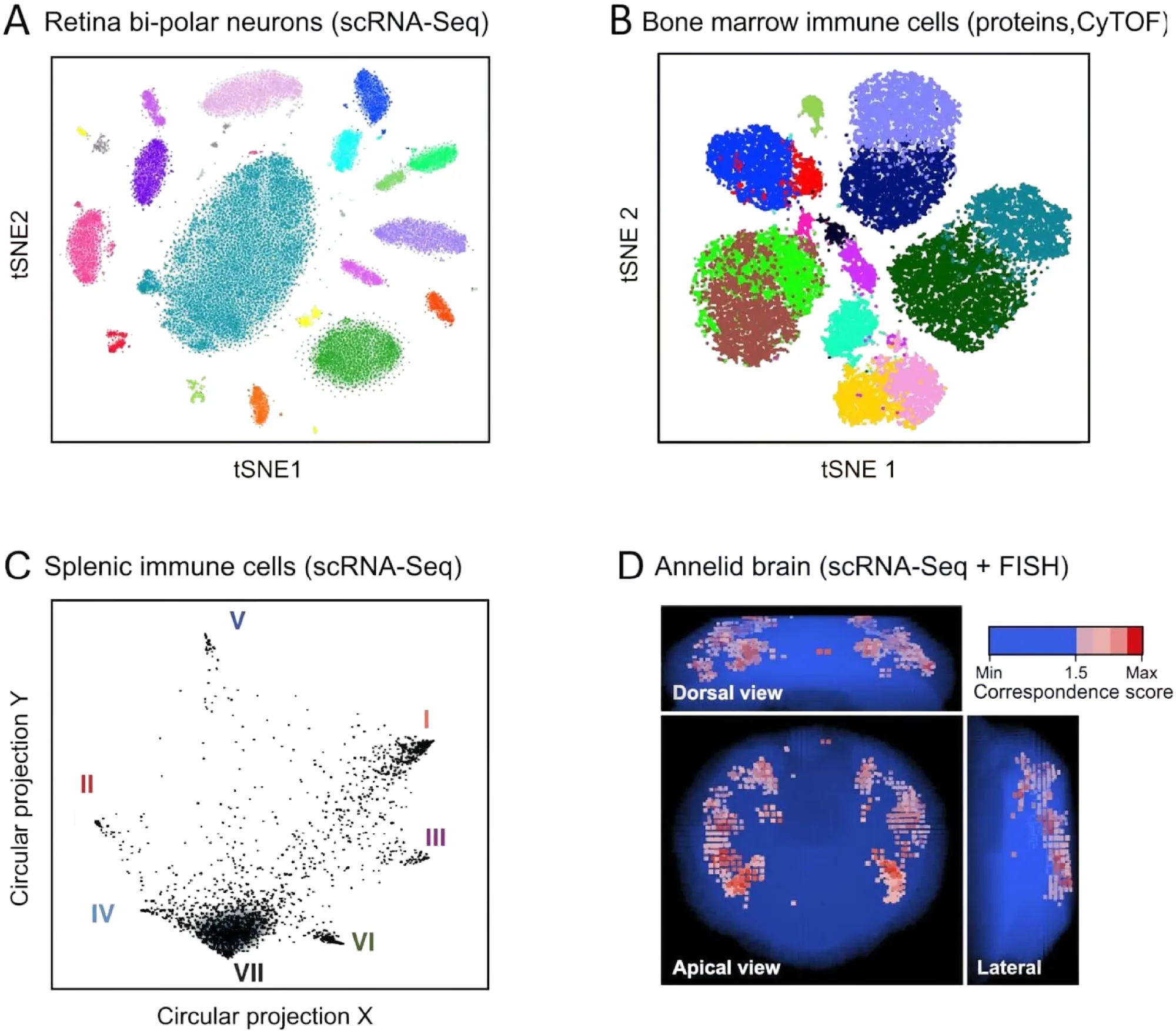Human Cell Atlas illustration of cell types arranged by tissue structure.