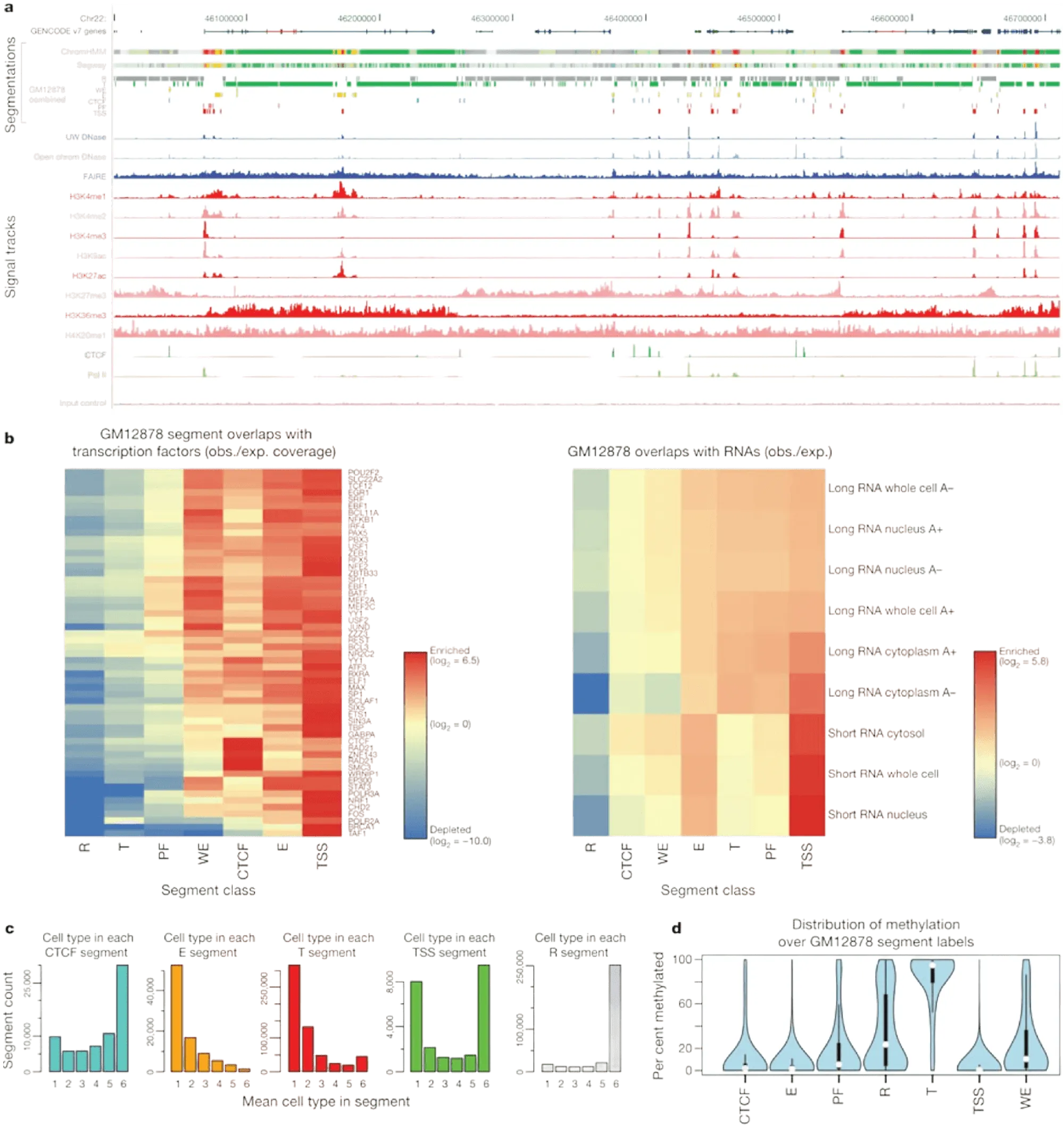 Genome-wide segmentation integrating ENCODE assay tracks.