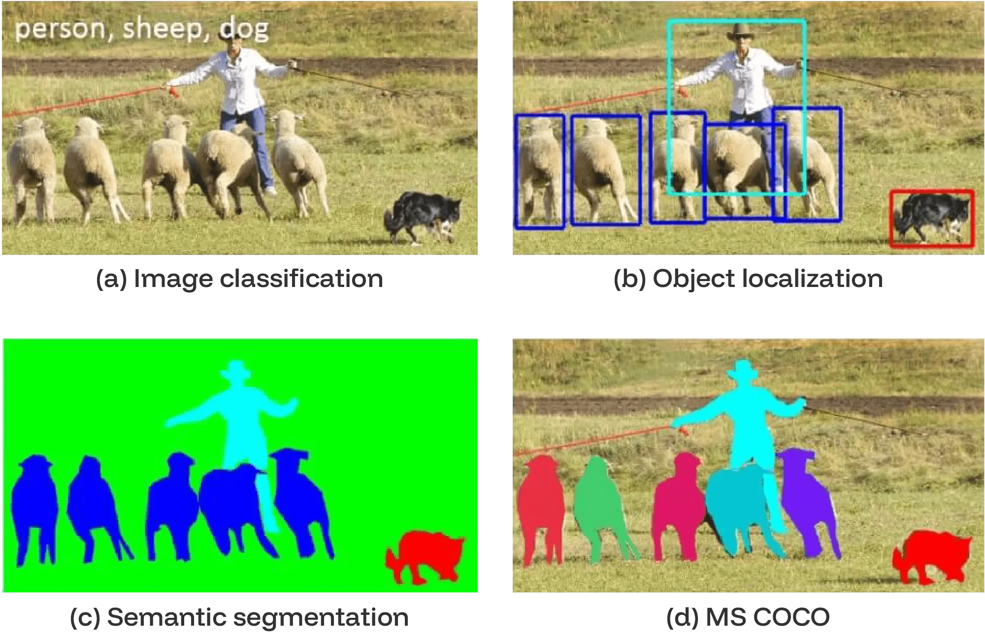 Comparison of object-recognition tasks, ending with MS COCO's instance segmentation of everyday scenes.