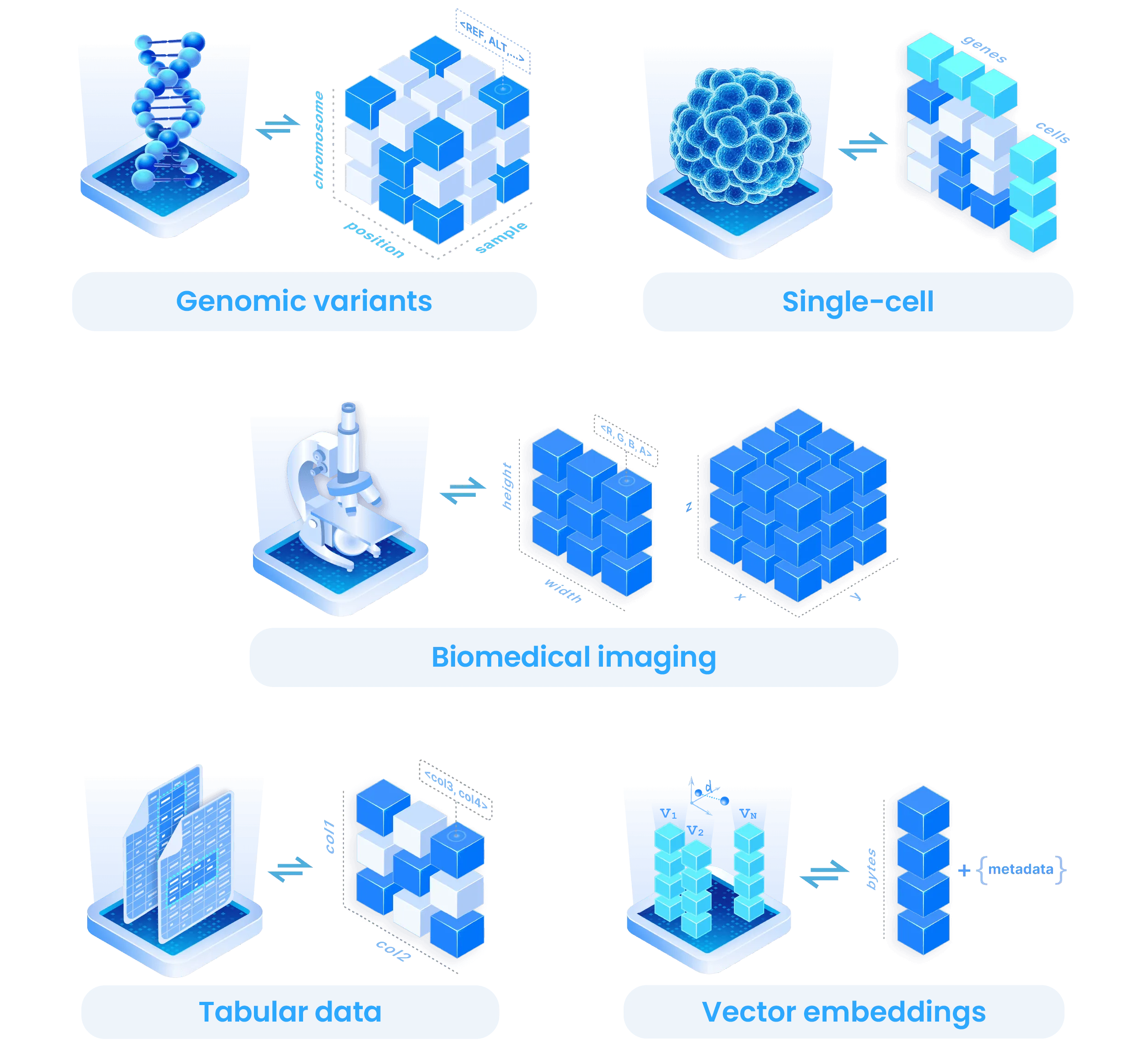 Arrays reshaping to model genomic variants, single-cell matrices, biomedical images, tables and vector embeddings.